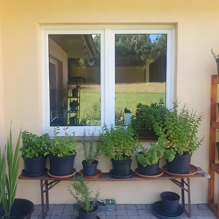 Kuniec Swiata Blotnia (Gdansk)