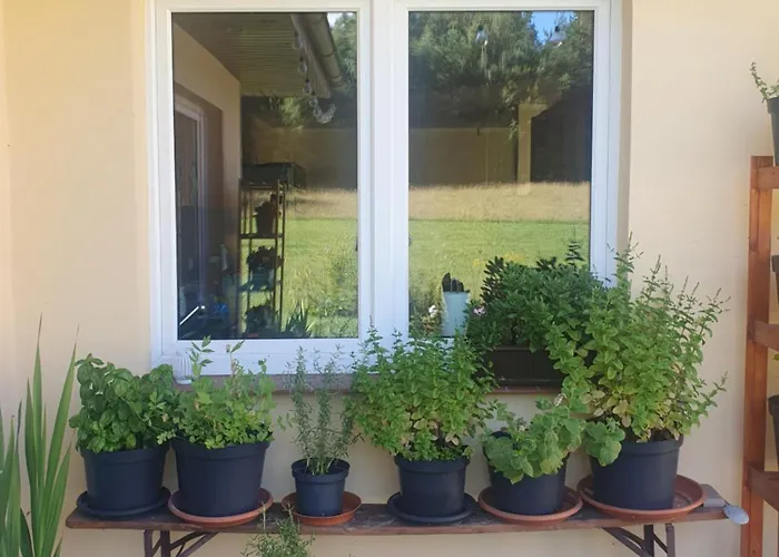 Kuniec Swiata Blotnia (Gdansk)